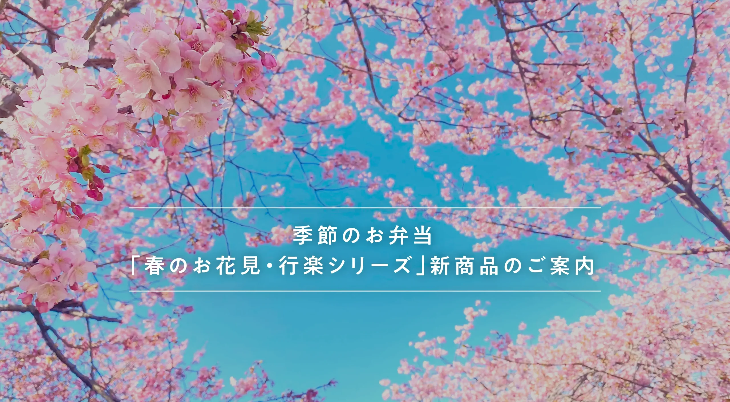 季節のお弁当「春のお花見・行楽シリーズ」新発売のご案内